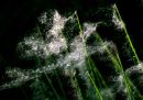 P5201520-DxO_DeepPRIME-3_edited-2.jpg