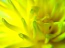 PB255906_resize.jpg