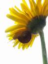 PC036643_resize.jpg