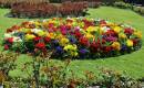 Pack_Garden_1.jpg