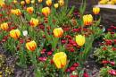 Pack_Garden_3.jpg