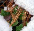 Picture_0361.jpg