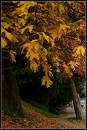 Picture_126_PROGRAM_MODE_GREY_CARD_TO_30_DEGS_TO_SKY_2_C.jpg