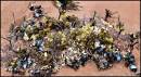 ROCK_GARDEN_3.jpg