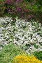SPRING_11.jpg