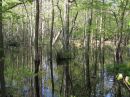 Scenery_59_Rondeau_1.jpg