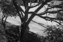 Test_232_b_PROGRAM_ISO_125_AUTO_EV_-_MINUS_0_3_B.jpg