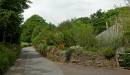 The_Lane_-_Cornwall_-_9428.JPG