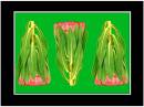 Then-There-Were-Three.jpg