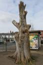 Tree_Art_2.jpg