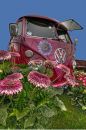 VW-Flower.jpg
