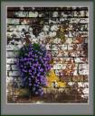 WallFlower.jpg