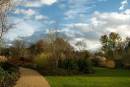 Winter-Foliage.jpg