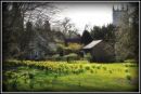 Wonderful_Spring_1.jpg