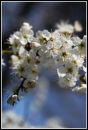 Wonderful_Spring_2.jpg