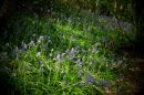 XT103923M_resize.JPG