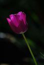 XT1A5059M_resize.JPG