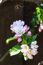 XT1A5063M_resize.JPG