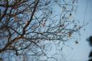 april_027-resize.jpg