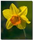 dafs21mm010407-010_copy.jpg