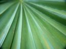day_254_vanishing_point_r.jpg