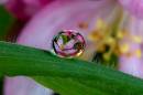 filtered_Refraction.JPG