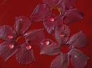 floating_flowers_resize.jpg