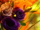 flowers_11.jpg