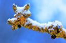 img_7976_passig_gemacht.jpg