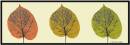leaves1.jpg