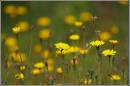 loaded_27-5-07_041.jpg