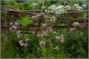 loaded_27-5-07_044.jpg