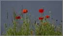 loaded_27-5-07_087.jpg
