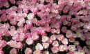 photo_2017-04-13.jpg
