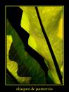 shapes_and_patterns_greens_resize.jpg
