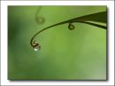 water_drop_framed_resize.jpg