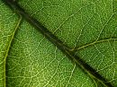 week_18_texture_r.jpg