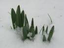 winter-comp--feb-8-2007-1.jpg