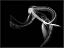 2007-01-30-21-46-096-pb-b.jpg