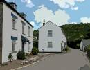 A_Country_Lane_-_9502.JPG