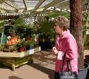 At_The_Garden_Centre_-_8387_-_M.JPG