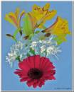 Boating-Flower-1.jpg