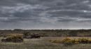 Chieftain_MBT_Hard_Target_HDR_small.jpg