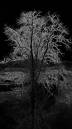 Copy_of_20d_150207_096.jpg