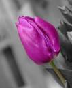 DSCF1534_psd.jpg