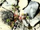 DSCF2847.jpg