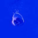 DSC_0164-Edit-Edit.jpg