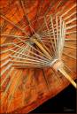 DSC_0654zsignedweb.jpg