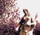 IMG_1971_statue_2_adobed_Medium_.jpg