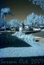 IMG_7352-IR.jpg
